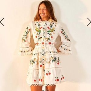 Brand New-Pitanga Embroidery Mini Dress